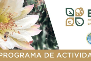 Captura de pantalla 2024 08 17 a las 11.56.07 p.m